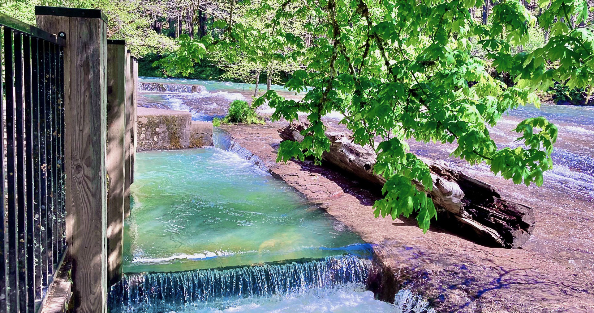 Photos of Tri City RV Park and Nearby