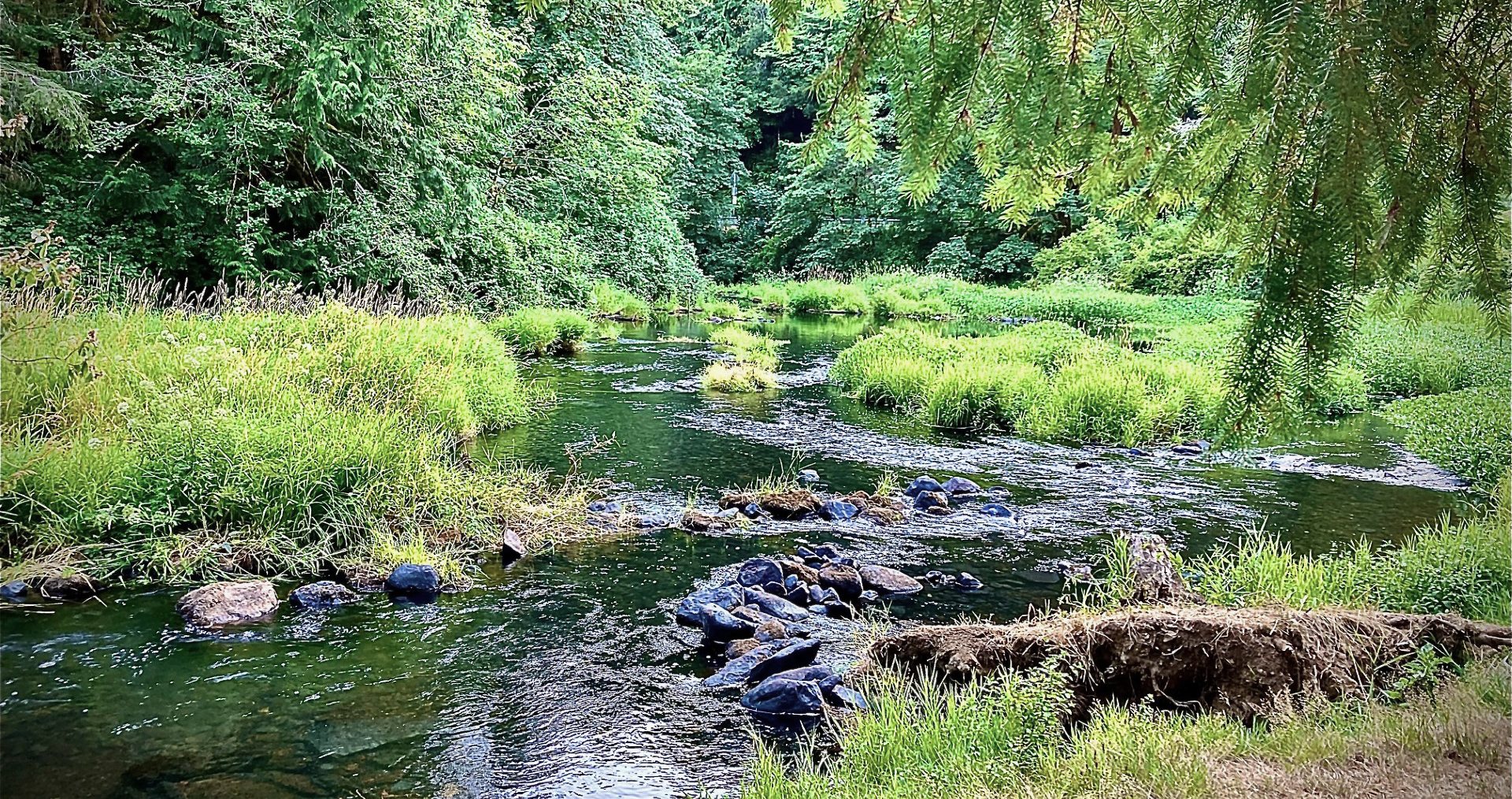 Photos of Tri City RV Park and Nearby